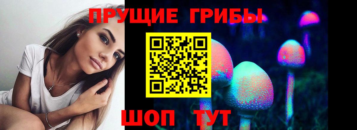 Галлюциногенные грибы Magic Shrooms  где найти   Назрань  Вход с VPN 